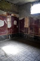 Villa Arianna, pavimento mosaico e decori parietali.
