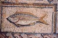 Pavimento in mosaico - Pesce, Kourion. Immagine gentilmente fornita dall'Ente Nazionale per il Turismo di Cipro.
