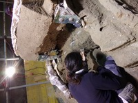 Un membro dell'equipe operante nel sito di Civita Giuliana, alle prese con il delicato disseppellimento del pilentum (fonte Parco Archeologico di Pompei)