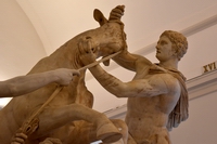 Toro Farnese - Particolare di Anfione
