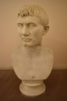 Ritratto di ignoto Inv. 6174