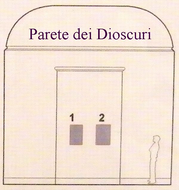 pan dioscuri