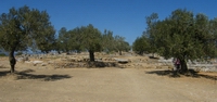 Santuario di Poseidone