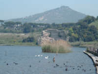 il lago Averno ingresso dell'Ade