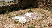 Morgantina, zona romana con mosaici devastati dalle erbacce e dagli elementi. 