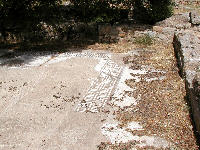 Morgantina, particolare dei mosaici nella zona romana lasciati all'aperto e ricoperti dai frutti dell'ulivo per essere macchiati e aggrediti.