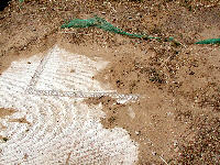 Morgantina, zona romana - altro mosaico in stato di abbandono! Evidentemente, la zona romana non deve essere particolarmente apprezzata!