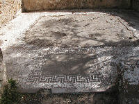 Anche questo mosaico non è apprezzato pur facendo parte della casa di Ganimede!