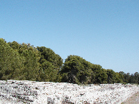 Ara di Ierone