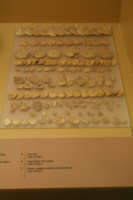 Rosette ornamentali in oro 1400-1375 a.C.