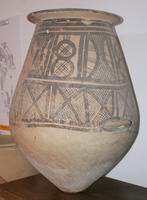 IMG 3678