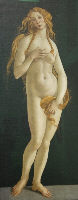 Afrodite del Botticelli