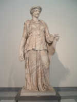 Flora minore 