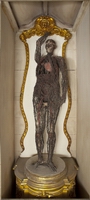 Macchina anatomica – Donna (Giuseppe Salerno, 1763-64)