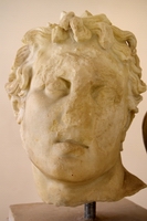 Gruppo in marmo del “Ratto del Palladio” - Testa di Diomede. Età tiberiana. - Marble group of The stealing of Palladio - Head of Diomedes. Tiberian age.