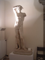 Apollo Liceo