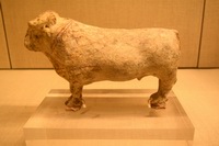27 toro