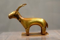 34 stambecco